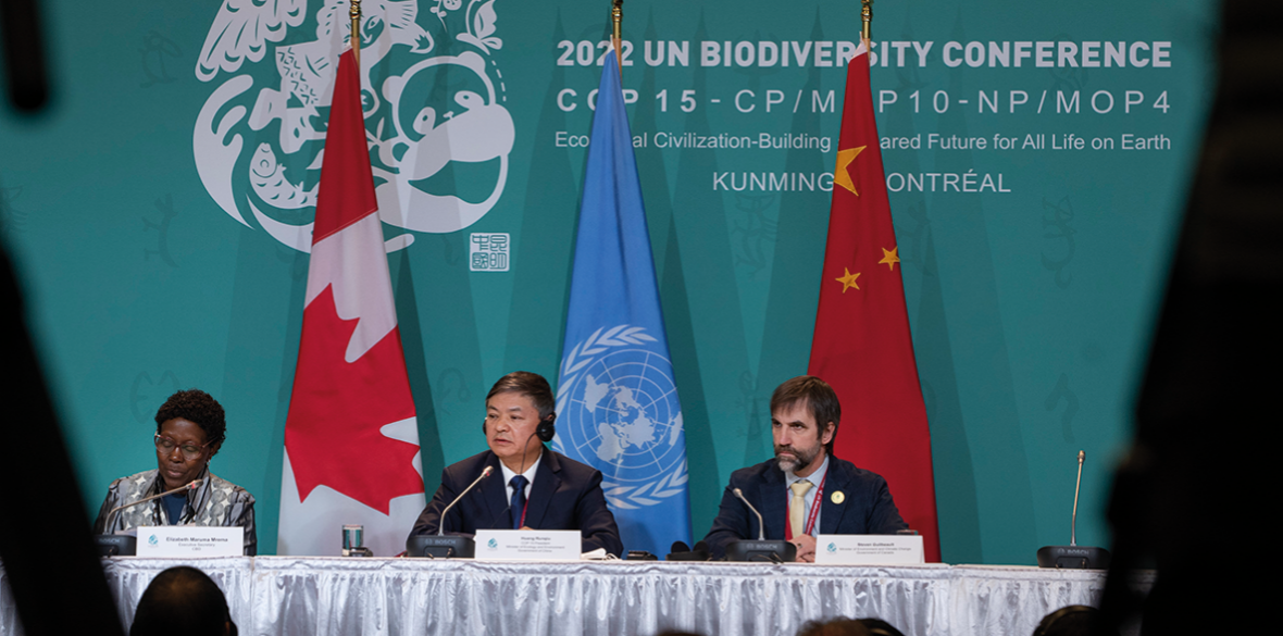 UN biodiversity conference what does living in harmony with nature